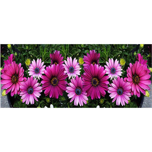 Full Large Diamond Painting kit - Pink chrysanthemum