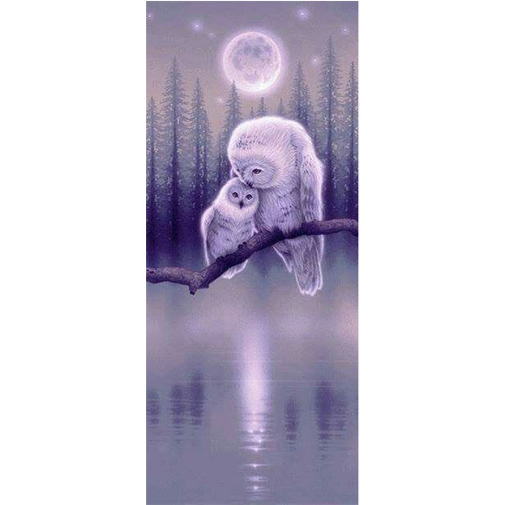 Full Large Diamond Painting kit - Owl mother and child