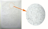 DIY Painting by number kit | White daisy flower
