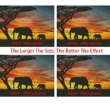 Full Diamond Painting kit - African animals