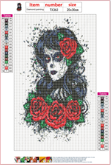 Full Diamond Painting kit - Skull girl
