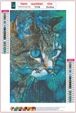 Full Diamond Painting kit - Cat