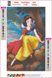 Full Diamond Painting kit - Snow white
