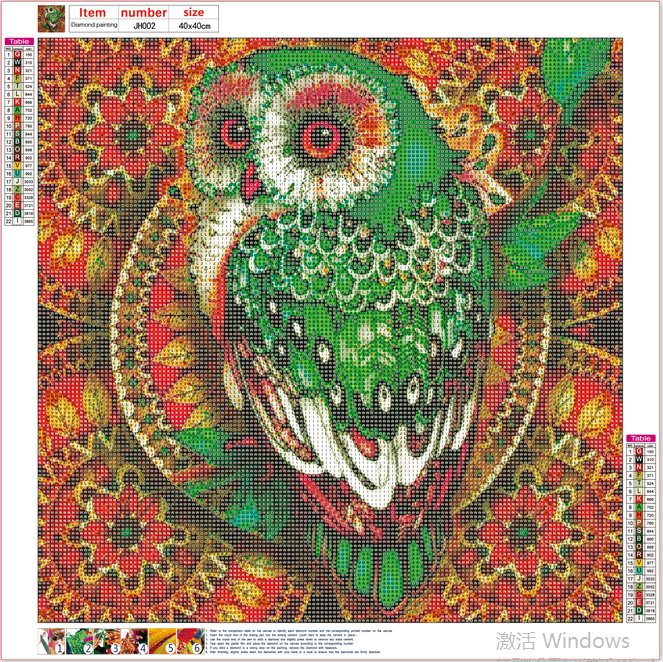 Full Diamond Painting kit - Owl