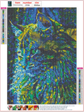 Full Diamond Painting kit - cat