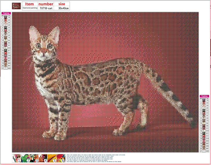Full Diamond Painting kit - Gorgeous cat