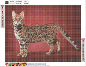 Full Diamond Painting kit - Gorgeous cat
