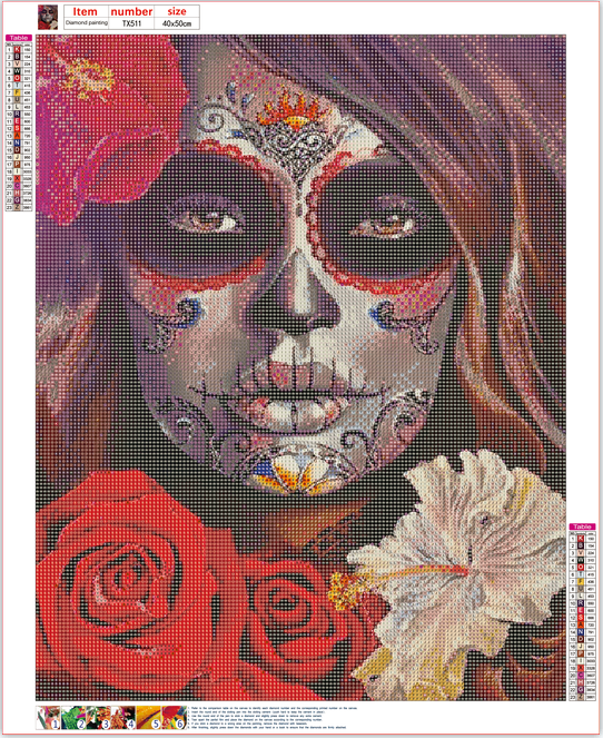 Full Diamond Painting kit - Halloween lady
