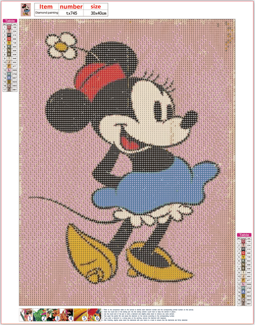 Full Diamond Painting kit - Minnie