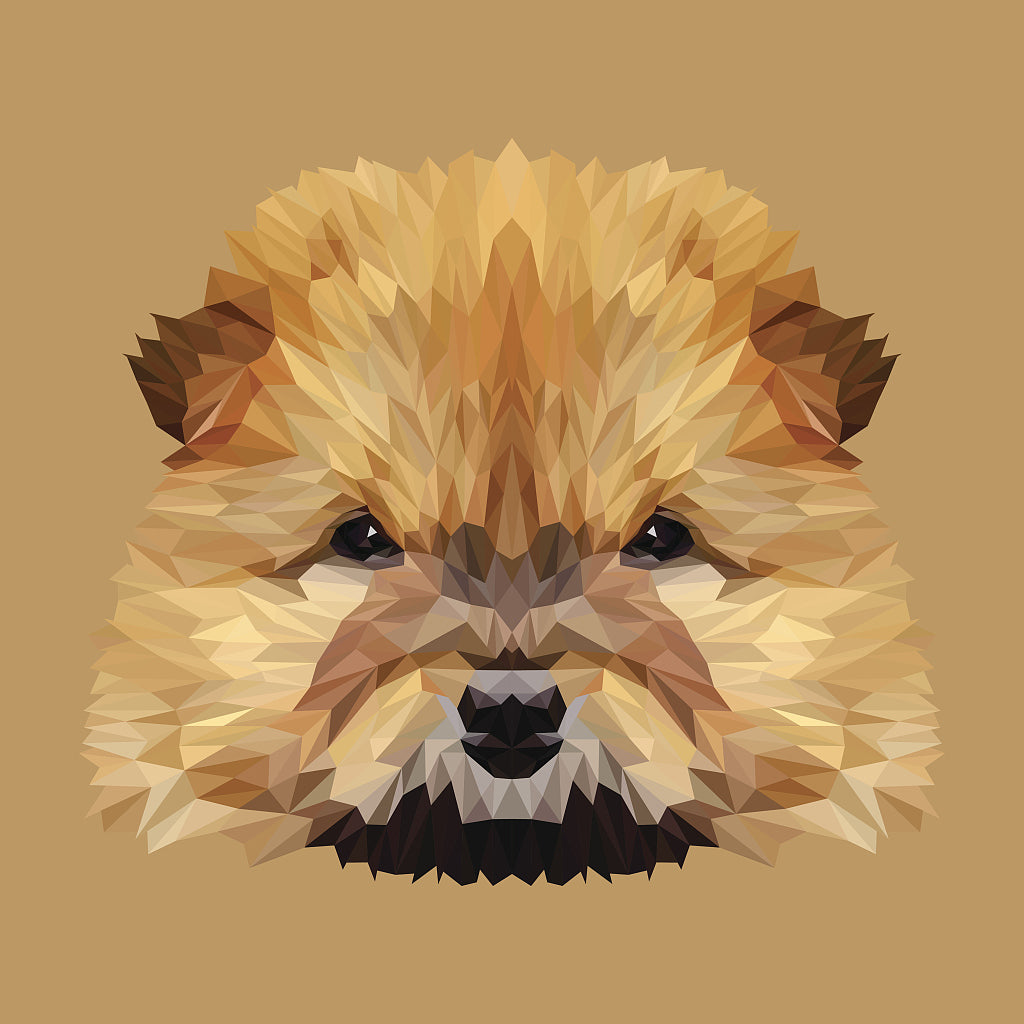 Full Diamond Painting kit - Cute chow