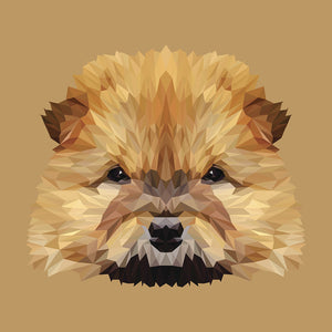 Full Diamond Painting kit - Cute chow