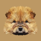 Full Diamond Painting kit - Cute chow