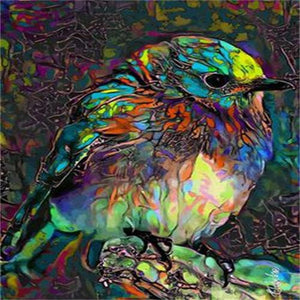 Full Diamond Painting kit - bird