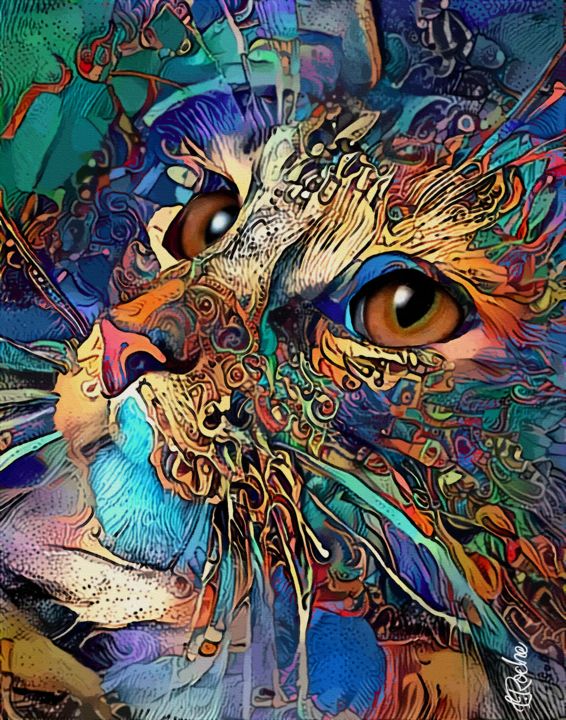 Full Diamond Painting kit - cat