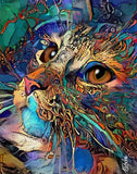 Full Diamond Painting kit - cat