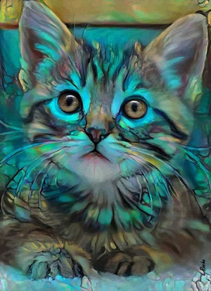 Full Diamond Painting kit - Cat
