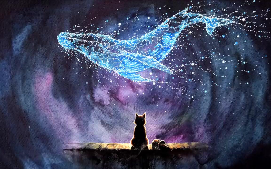 Full Diamond Painting kit - Dolphin starry sky