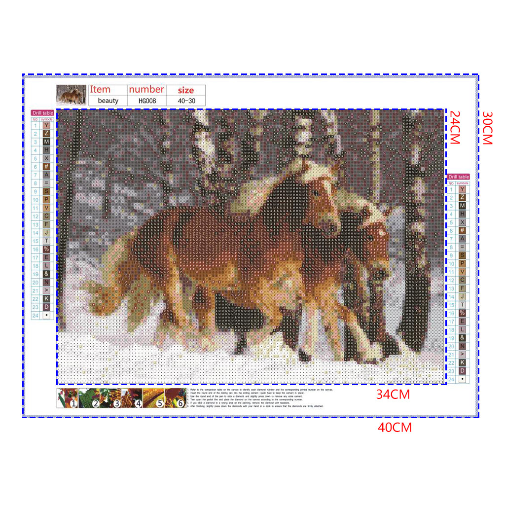 Full Diamond Painting kit - Two horses on the snow
