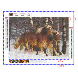 Full Diamond Painting kit - Two horses on the snow