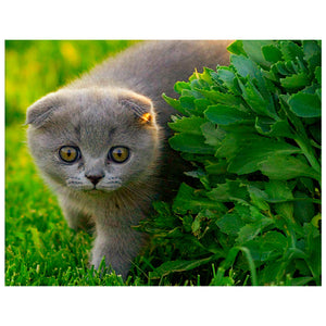 Full Diamond Painting kit - Cute Blue cat