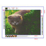 Full Diamond Painting kit - Cute Blue cat
