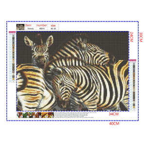Full Diamond Painting kit - Animal zebra