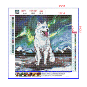 Full Diamond Painting kit - Samoyed dog under the starry night