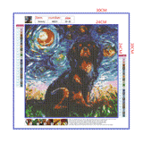 Full Diamond Painting kit - Bernese Mountain Dog under the beautiful starry sky