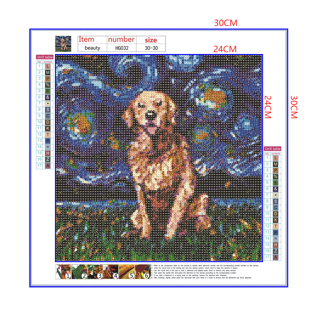 Full Diamond Painting kit - Labrador Retriever under the beautiful starry sky