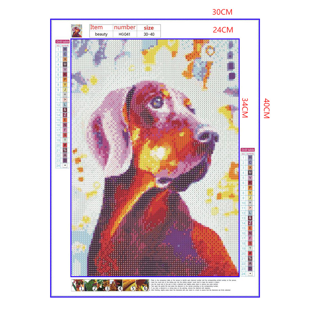 Full Diamond Painting kit - Colorful Dog