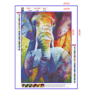 Full Diamond Painting kit - Elephant mother and child