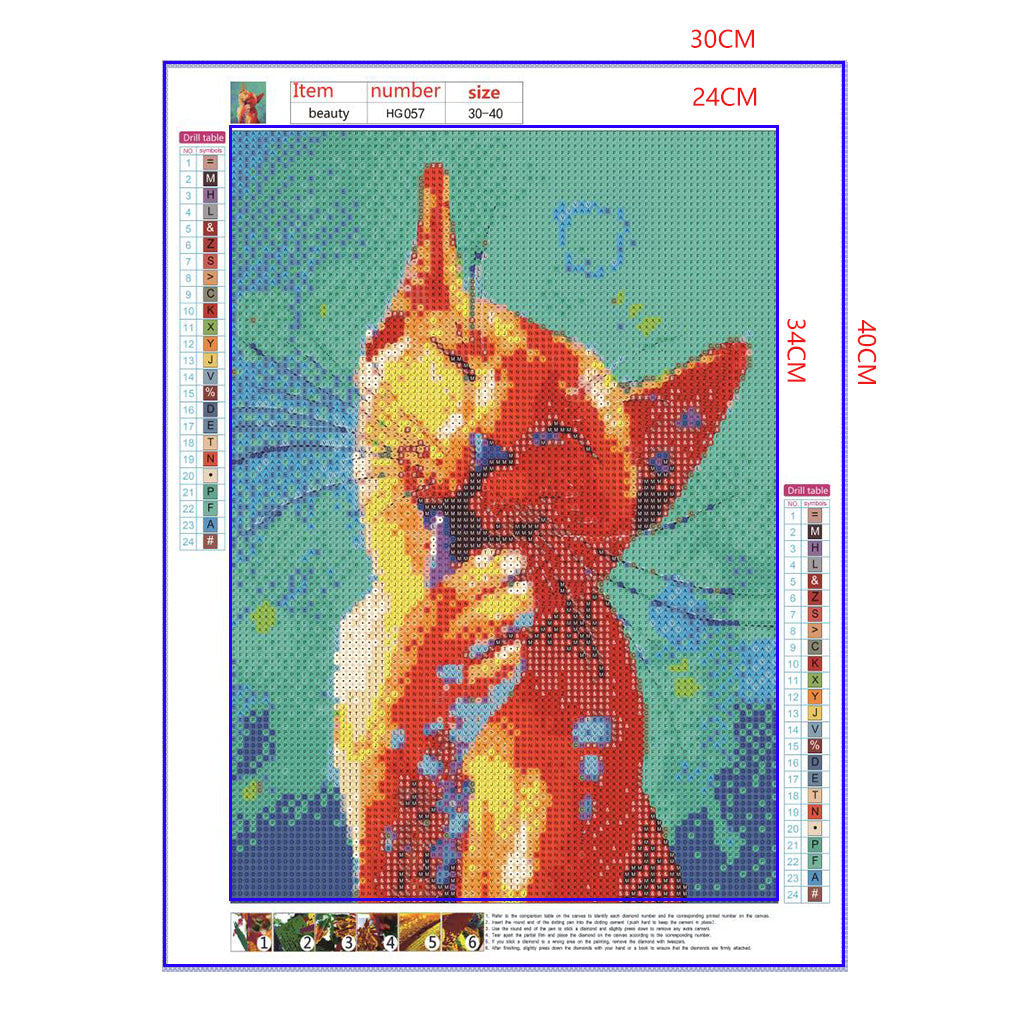 Full Diamond Painting kit - Cat licking fur