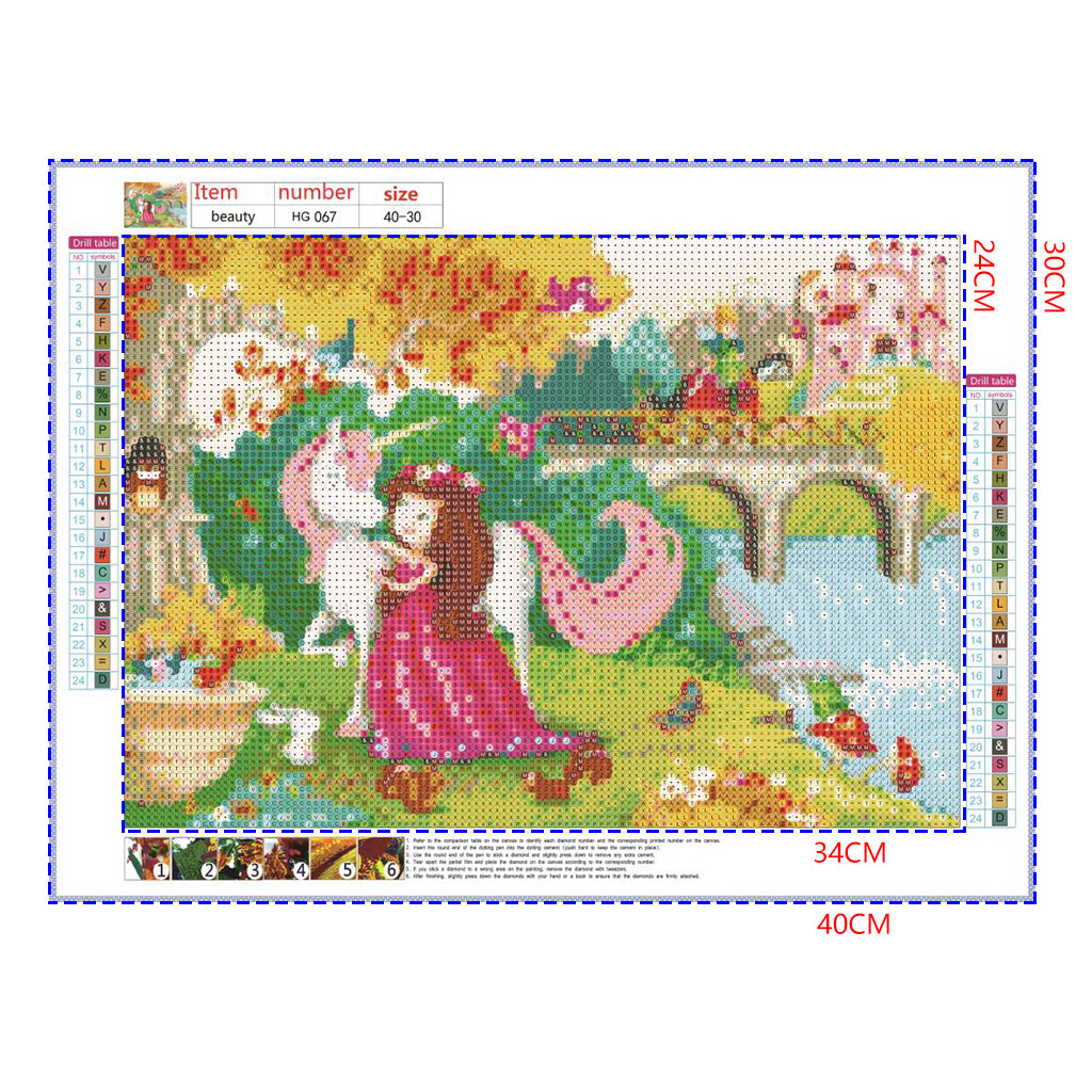 Full Diamond Painting kit - Unicorns and princesses, princes on horse