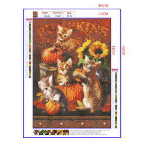 Full Diamond Painting kit - Pumpkins and cats