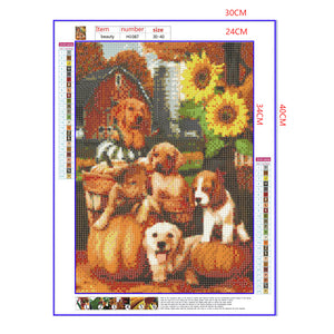 Full Diamond Painting kit - Pumpkins and dogs