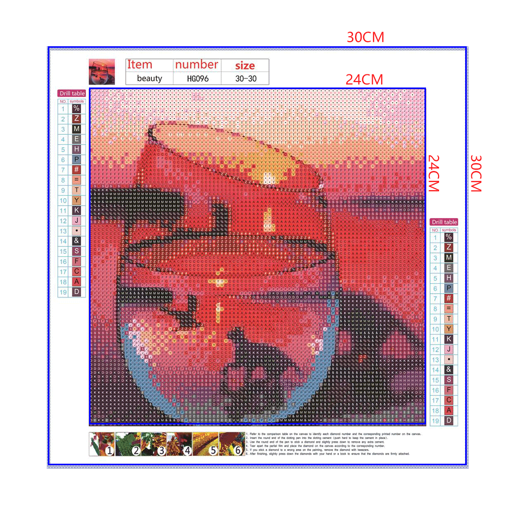 Full Diamond Painting kit - The reflection of a dog and a Seagull in glass