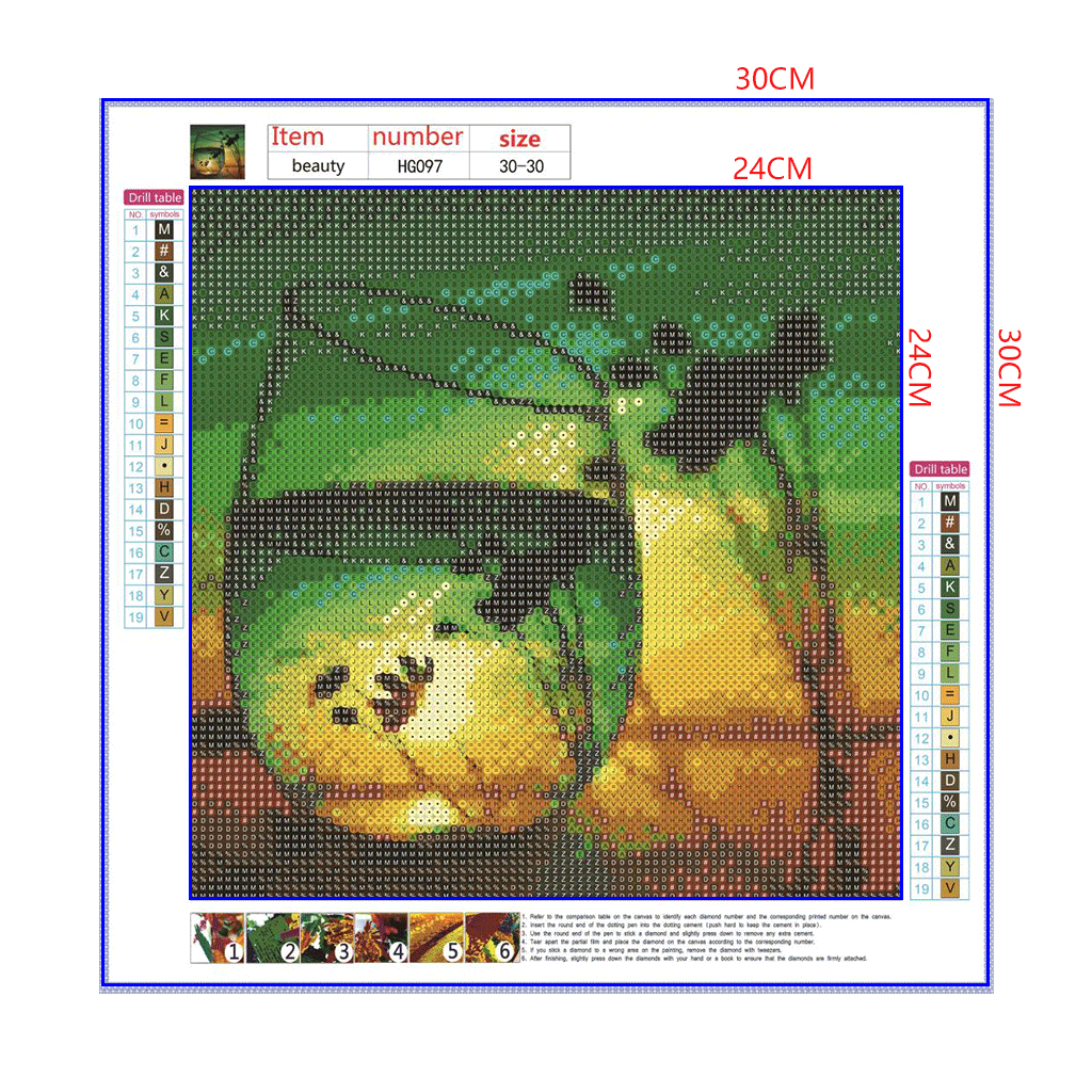 Full Diamond Painting kit - The reflection of wild plants in glass