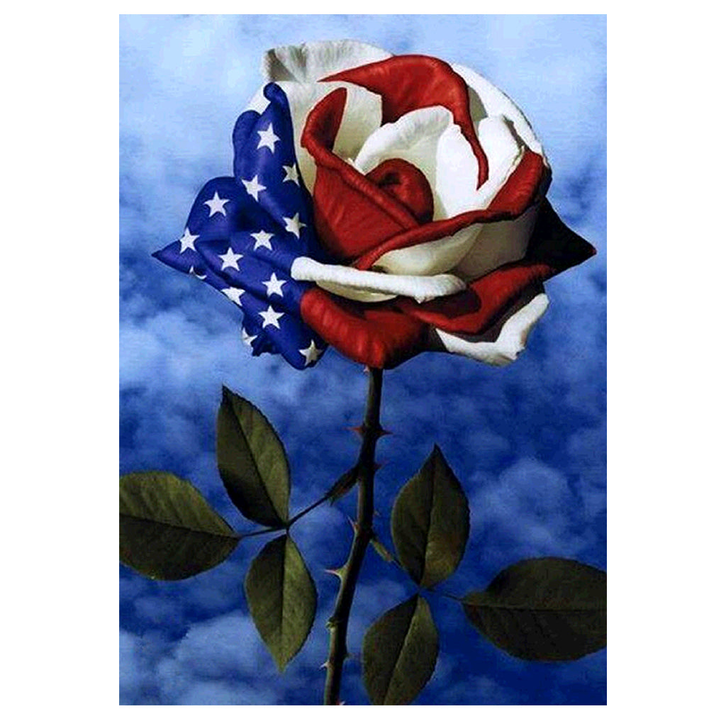 Full Diamond Painting kit - American flower