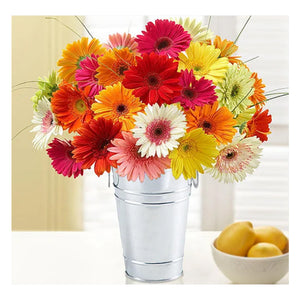 Full Diamond Painting kit - Beautiful chrysanthemum