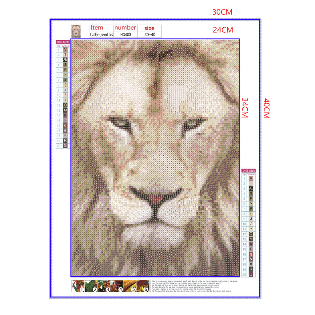 Full Diamond Painting kit - Lion head