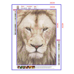 Full Diamond Painting kit - Lion head