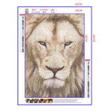 Full Diamond Painting kit - Lion head