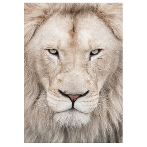 Full Diamond Painting kit - Lion head