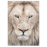 Full Diamond Painting kit - Lion head