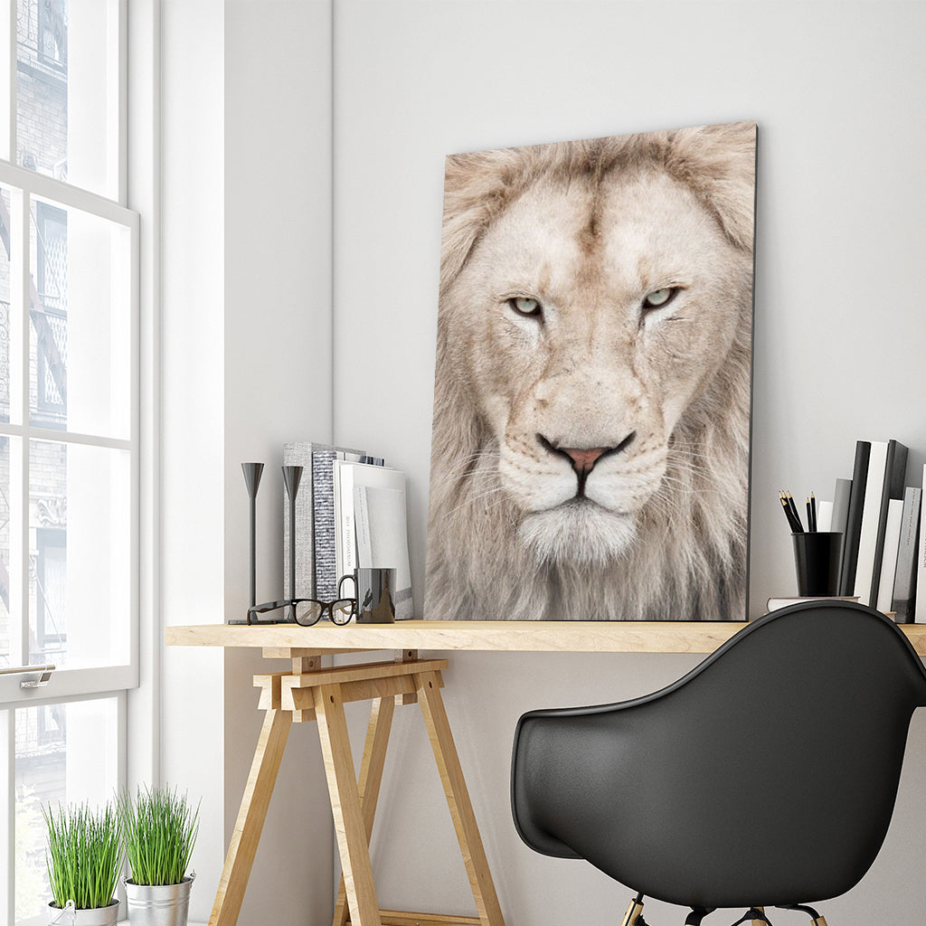 Full Diamond Painting kit - Lion head