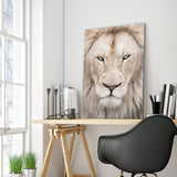 Full Diamond Painting kit - Lion head