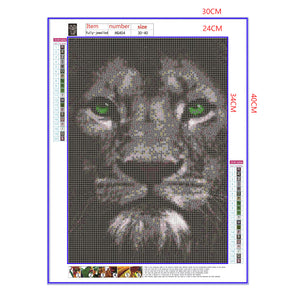 Full Diamond Painting kit - Lion head