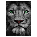 Full Diamond Painting kit - Lion head