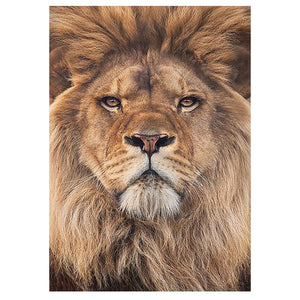 Full Diamond Painting kit - Lion head