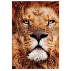 Full Diamond Painting kit - Lion head